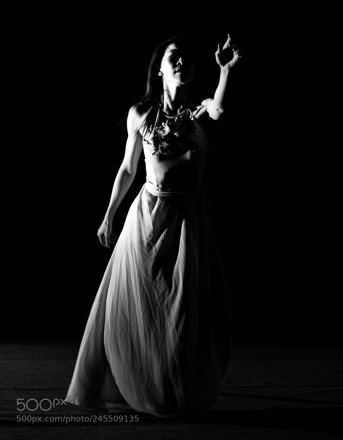Nikon D850 sample photo. The dancer photography