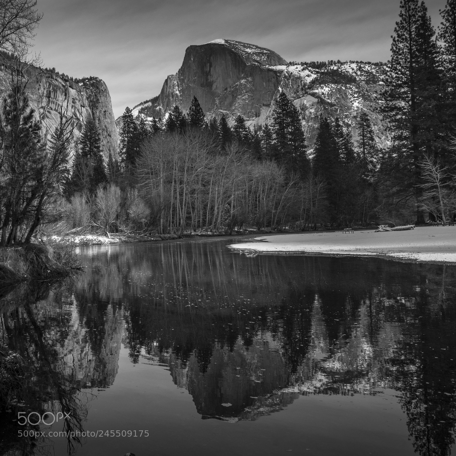 Sony a7R III sample photo. Yosemite, half dome reflection photography