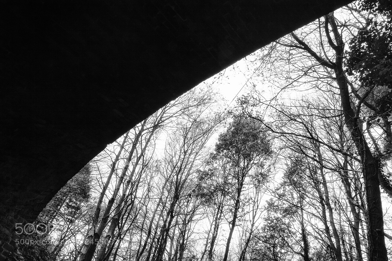 Canon EOS 50D sample photo. View under the bridge photography