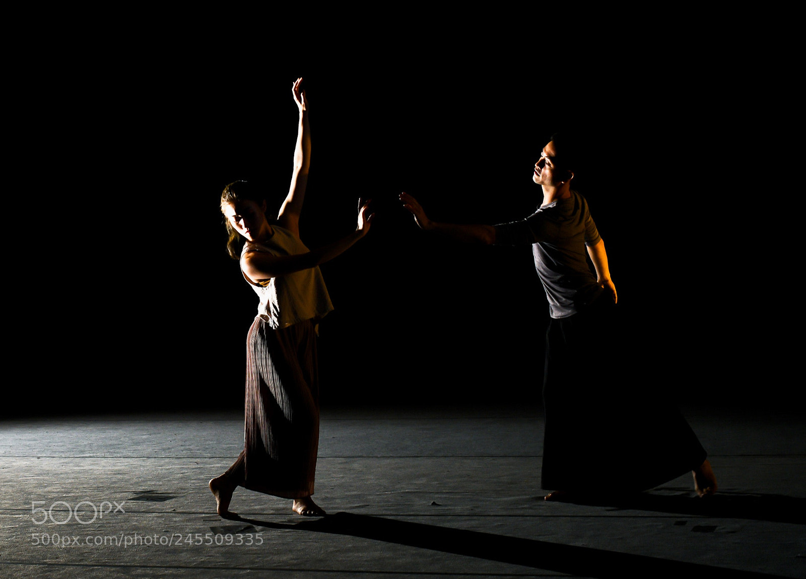 Nikon D850 sample photo. The dancers photography