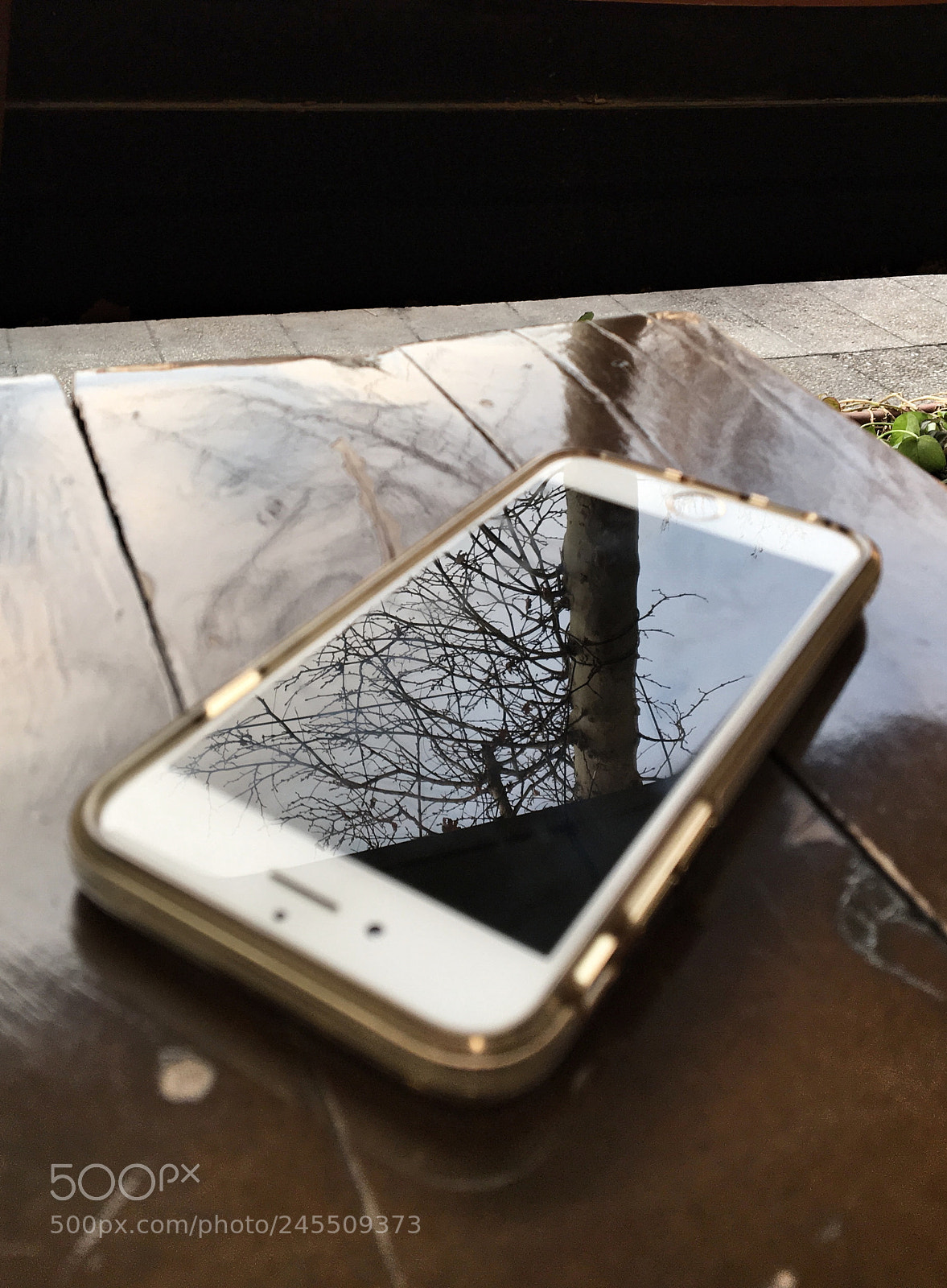 Apple iPhone 6s sample photo. Untitled photography