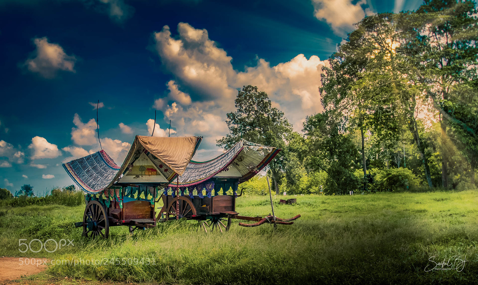 Nikon D300S sample photo. Abandoned bullock cart.. photography