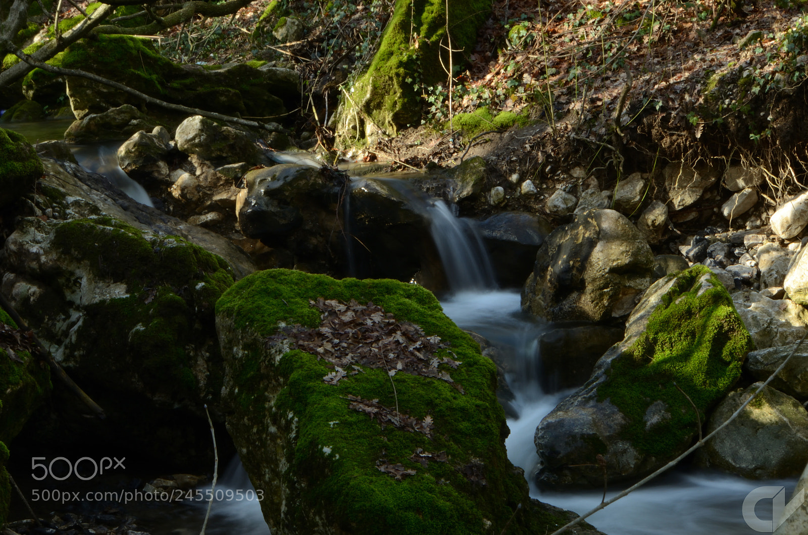 Nikon D5100 sample photo. Silk waves photography