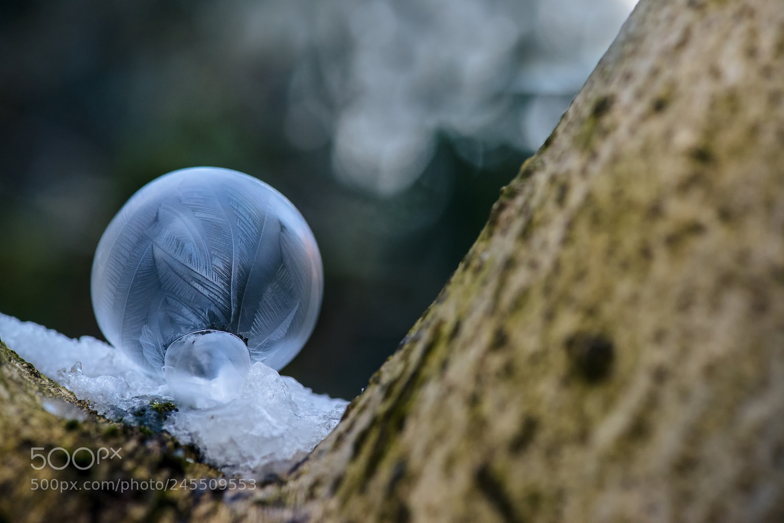 Nikon D800 sample photo. Frozen soap bubbles photography