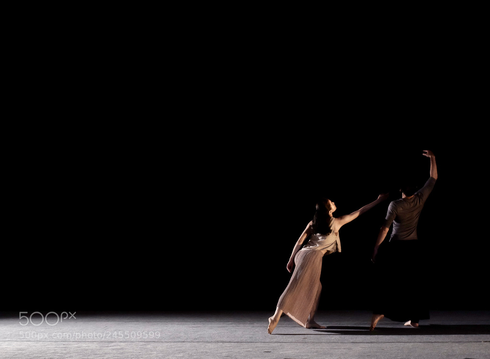 Nikon D850 sample photo. The dancers photography