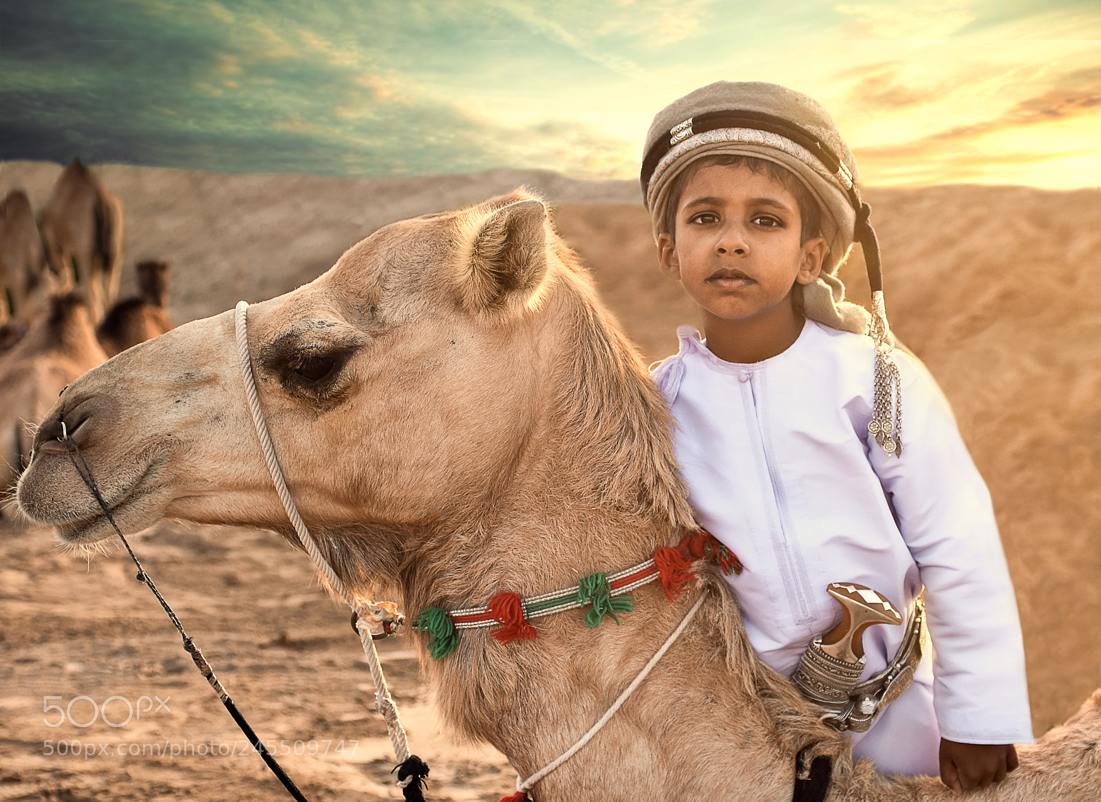 Nikon D7200 sample photo. The gold light photography