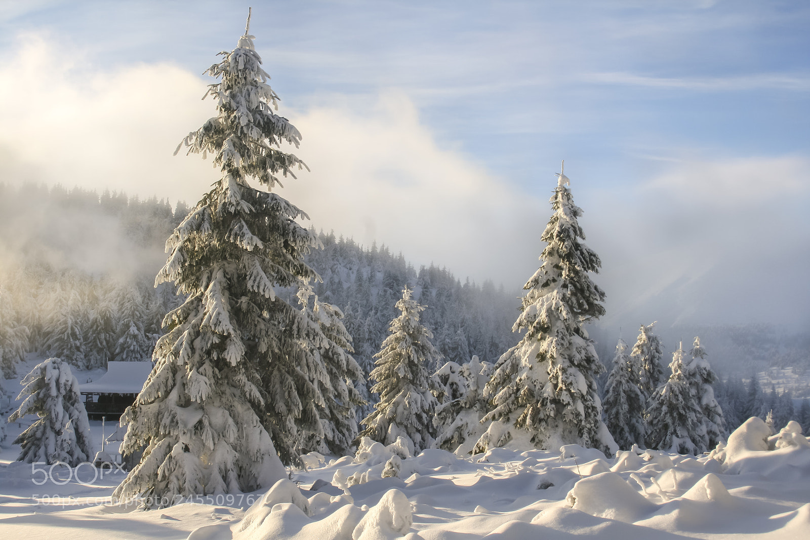 Canon EOS 400D (EOS Digital Rebel XTi / EOS Kiss Digital X) sample photo. Winter morning in carpathians photography