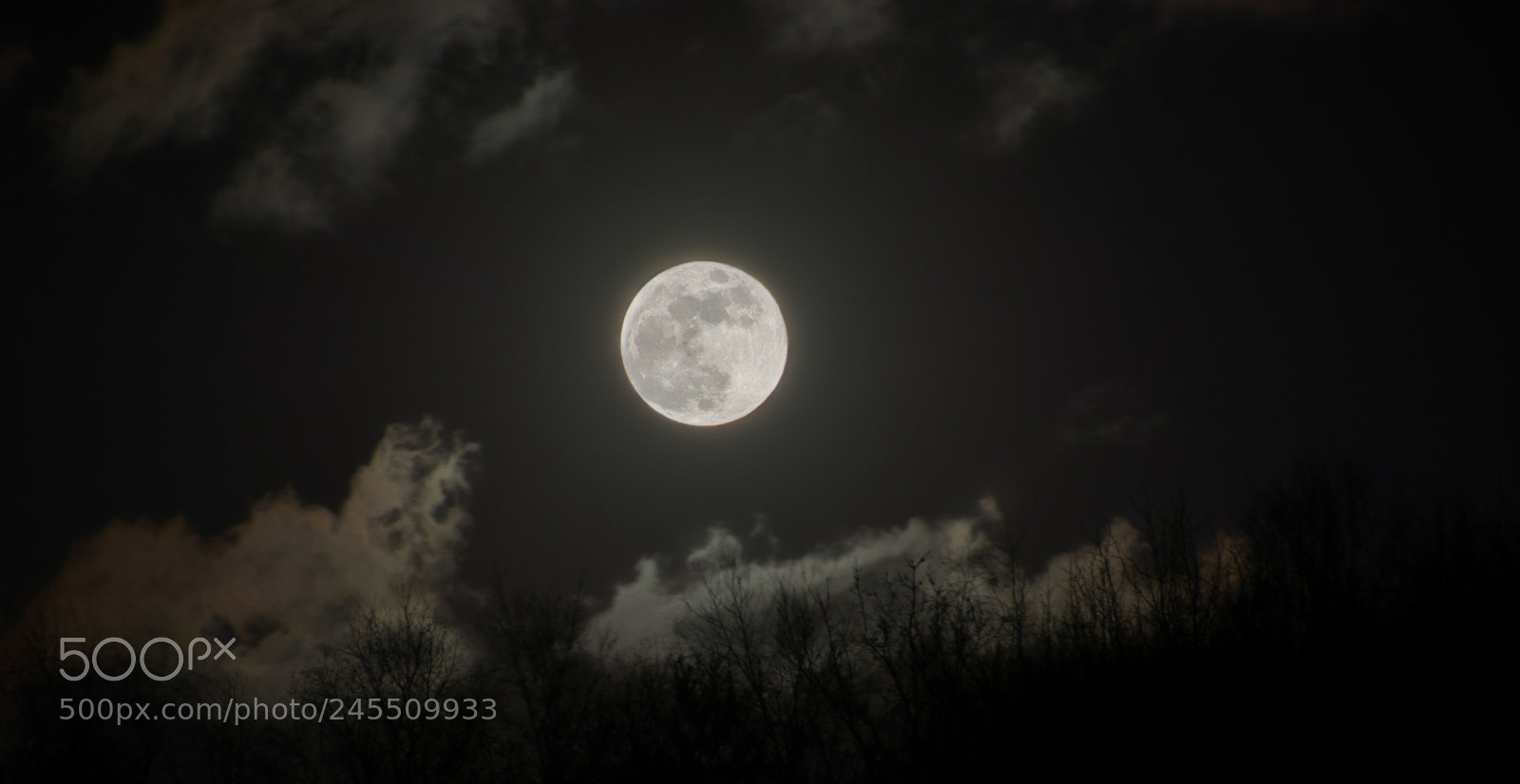 Nikon D7100 sample photo. Cloudy moon 2 photography