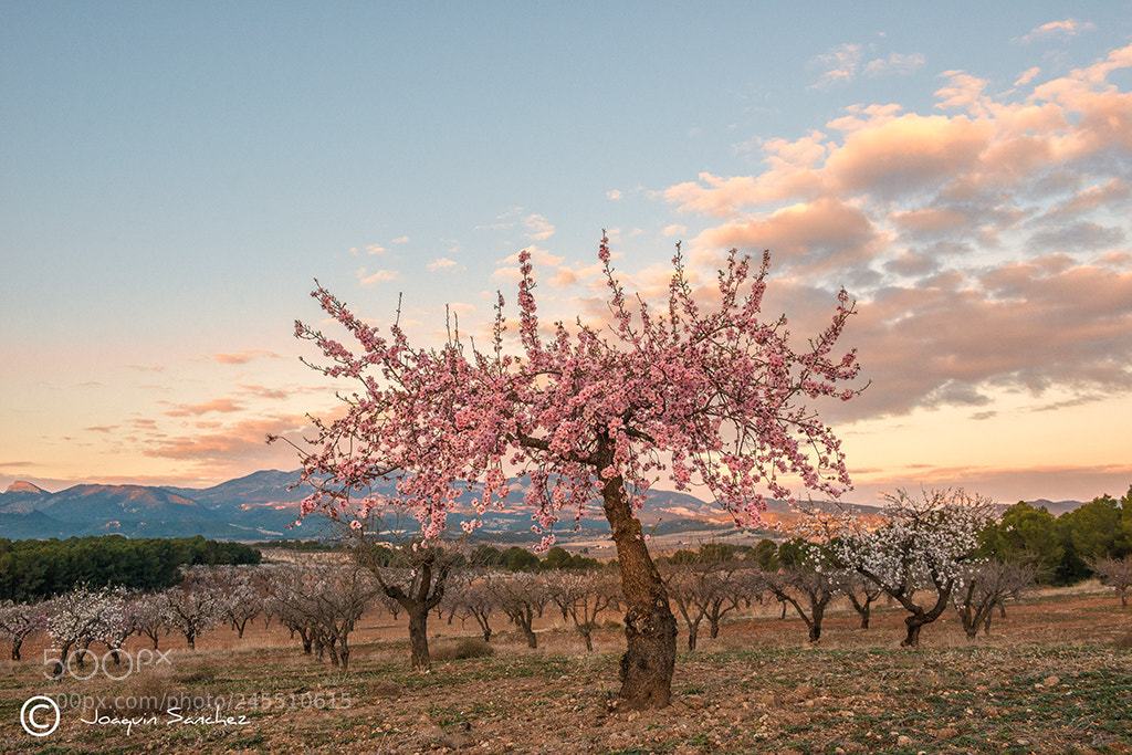 Nikon D800 sample photo. Casas nuevas photography