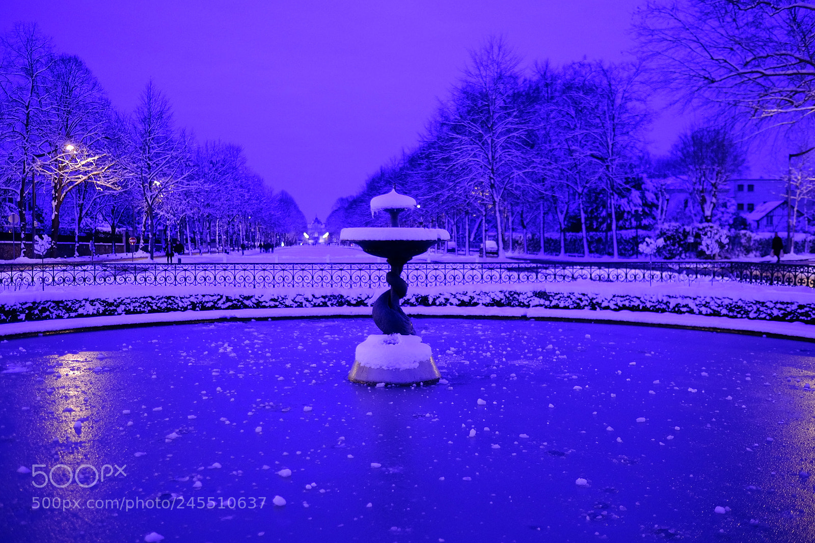 Fujifilm X-E2 sample photo. Parc maisons-laffitte photography