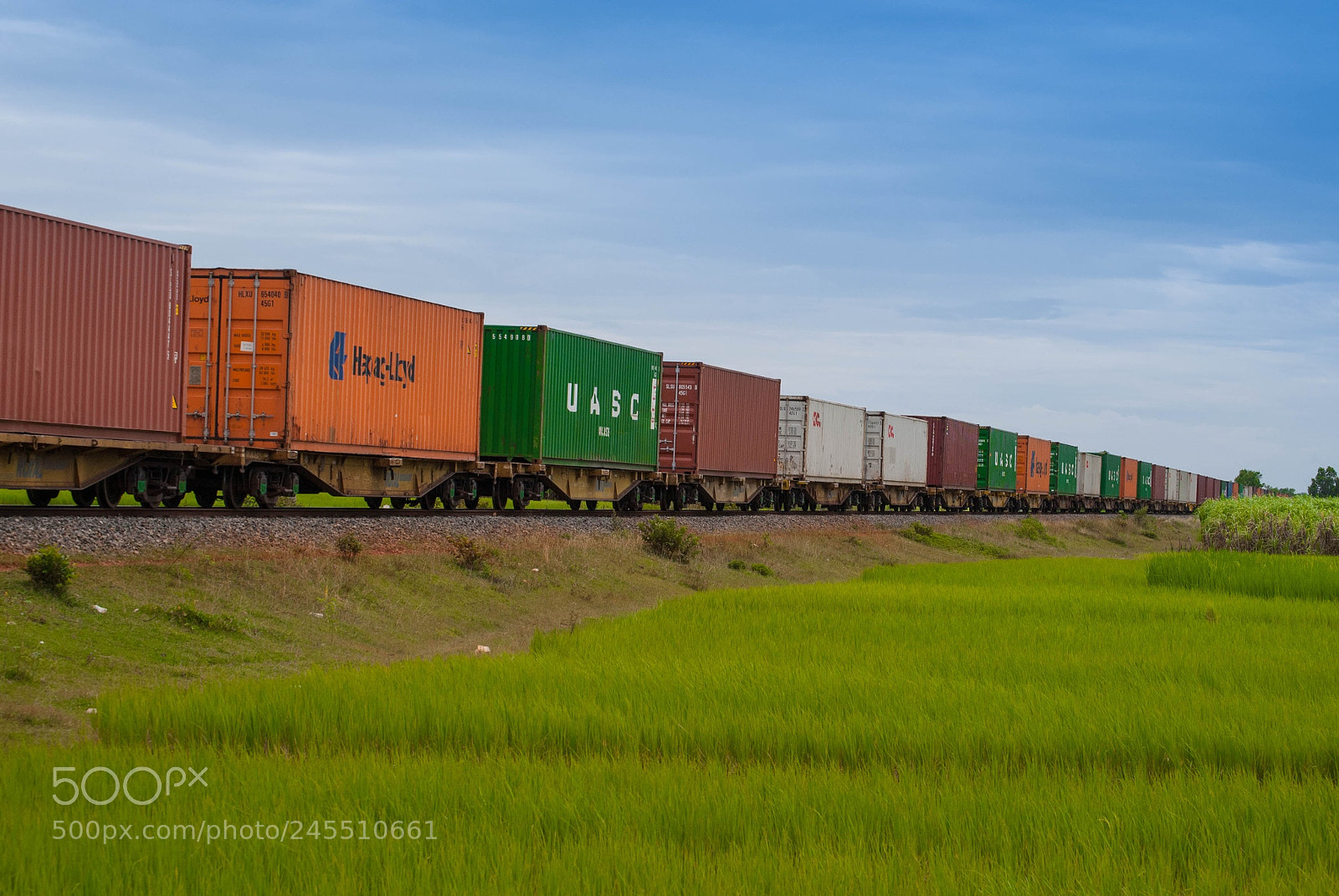 Nikon D3000 sample photo. Cargo train in kampot photography