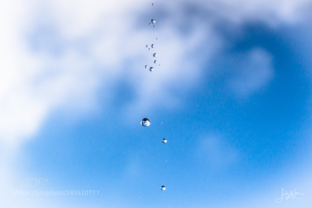 Sony SLT-A65 (SLT-A65V) sample photo. Raindrops from heaven photography