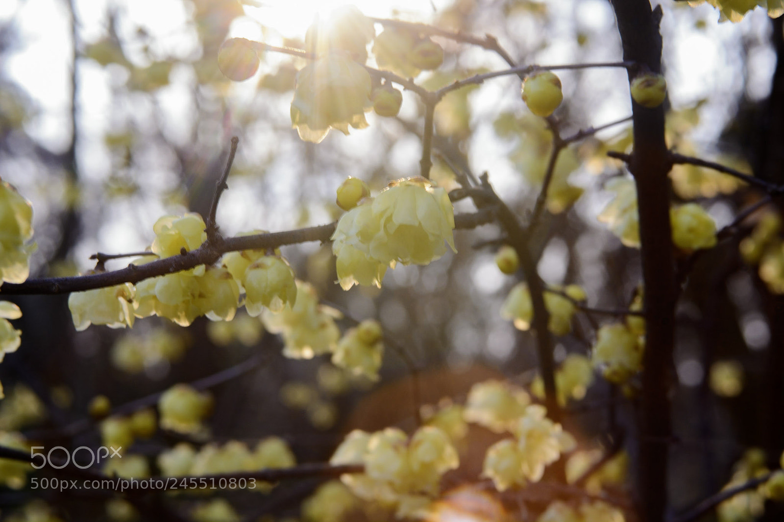 Nikon D7100 sample photo. Mistake photography
