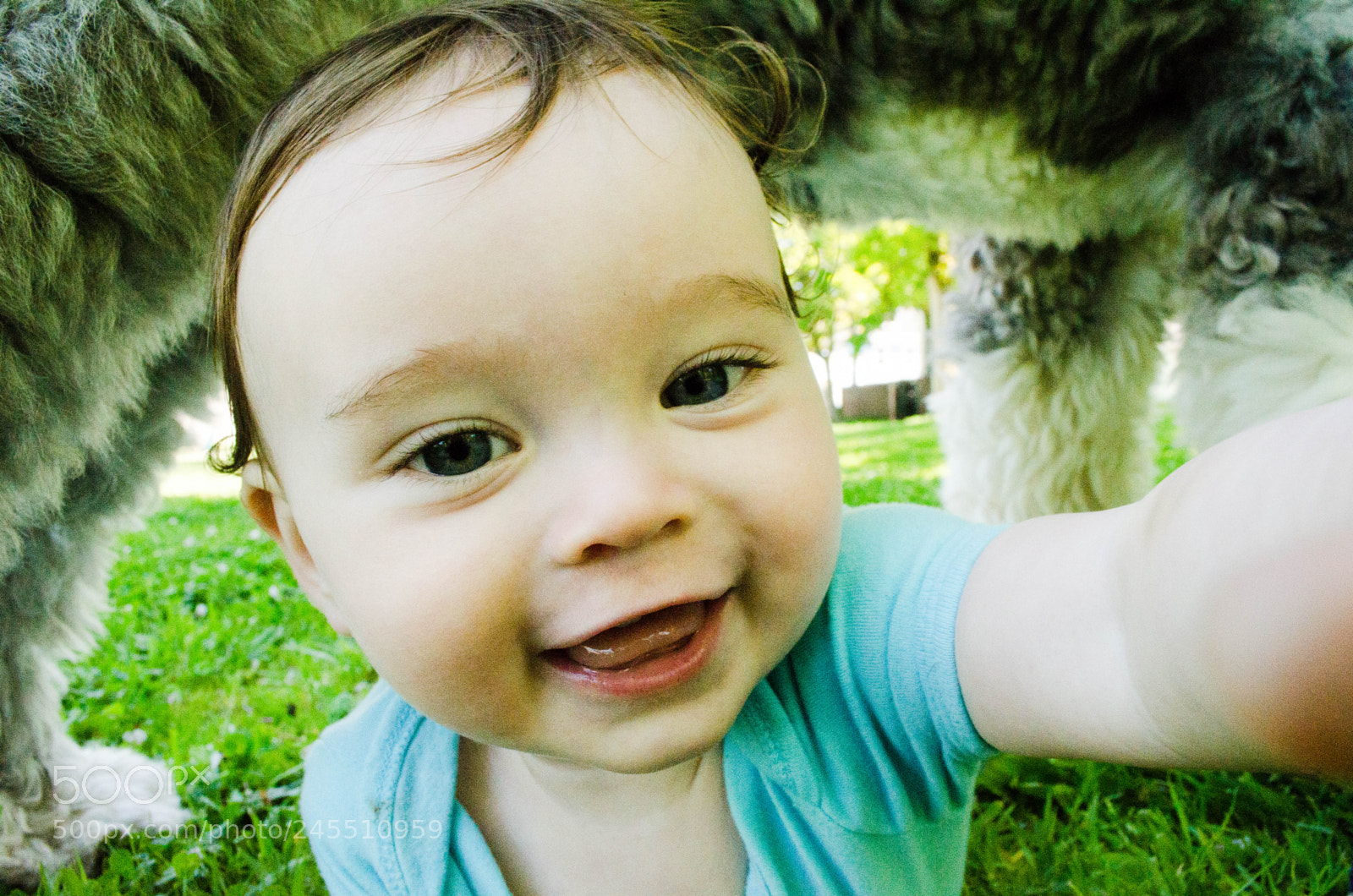 Nikon D5100 sample photo. Baby crawling under dog photography