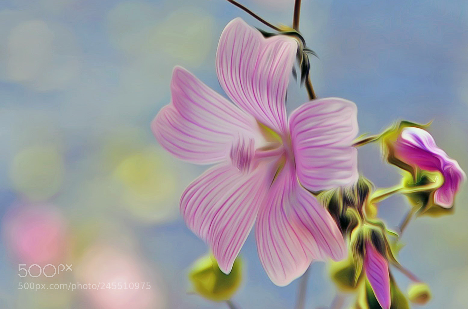 Nikon D90 sample photo. Dream of spring... photography