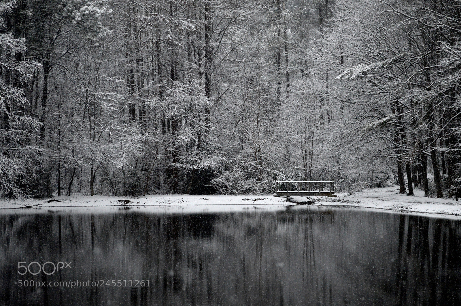 Nikon D3200 sample photo. Snow iv photography