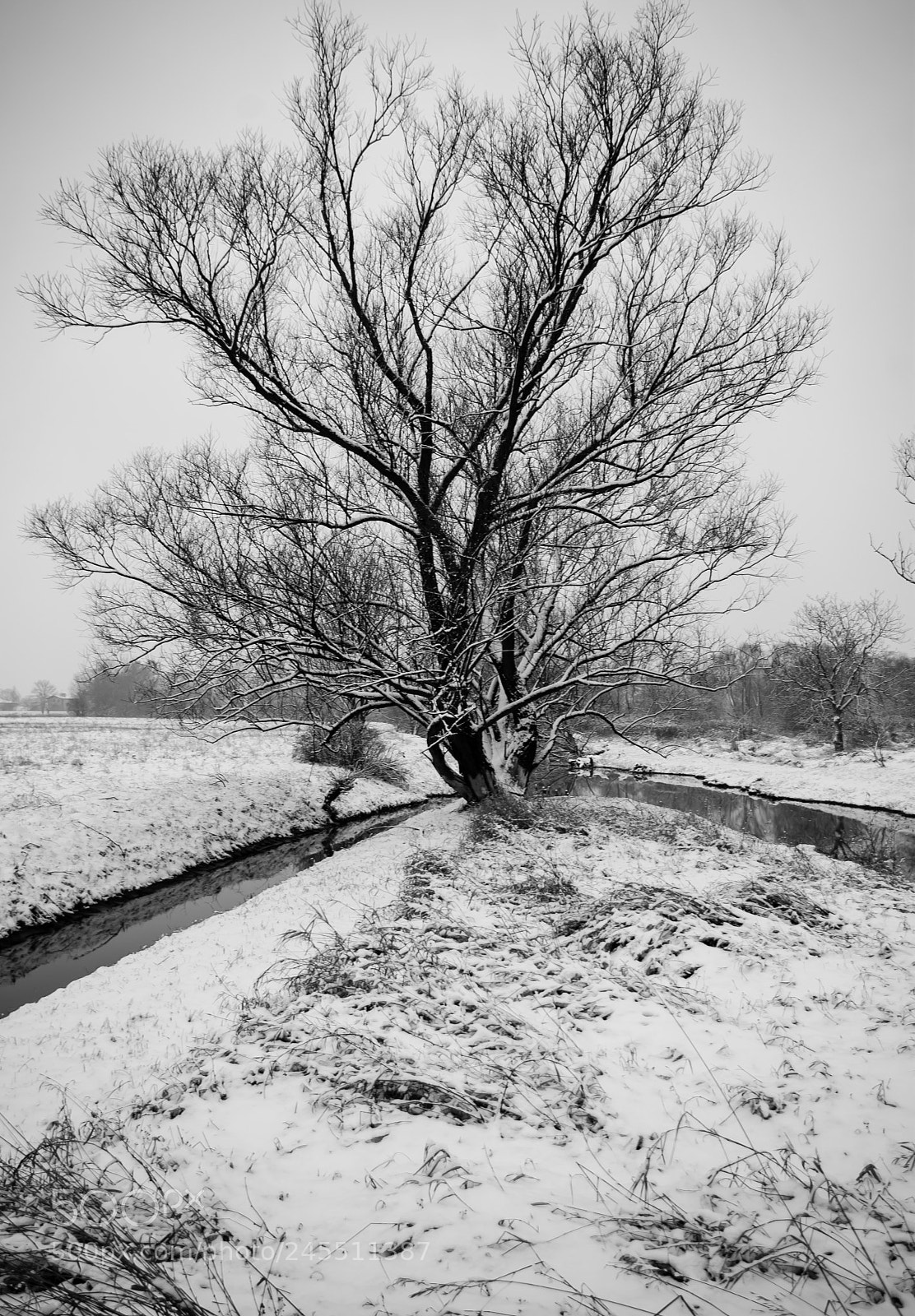 Pentax K10D sample photo. Winter photography
