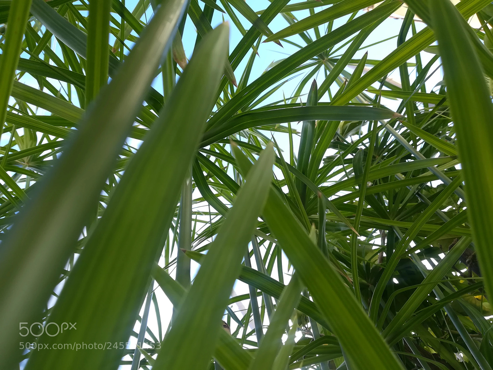HUAWEI PRA-LX1 sample photo. Untitled photography