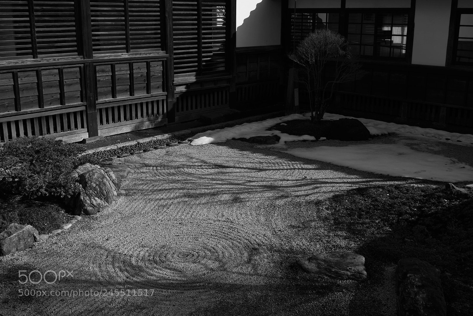 Nikon D500 sample photo. Japanese garden photography