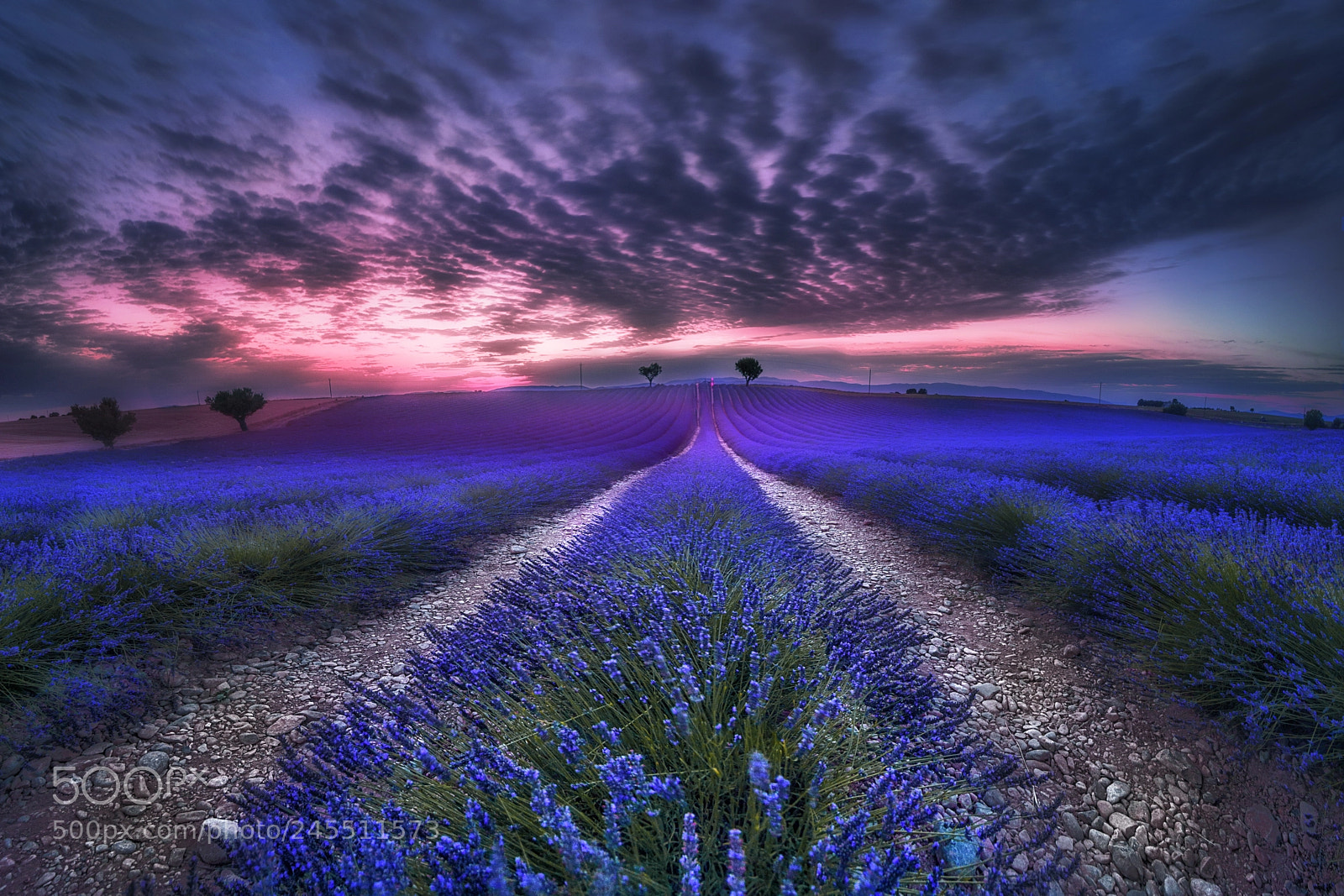 Nikon D610 sample photo. Valensole photography