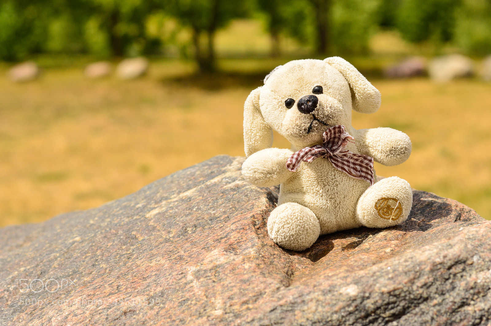 Nikon D3200 sample photo. A teddy sitting on photography