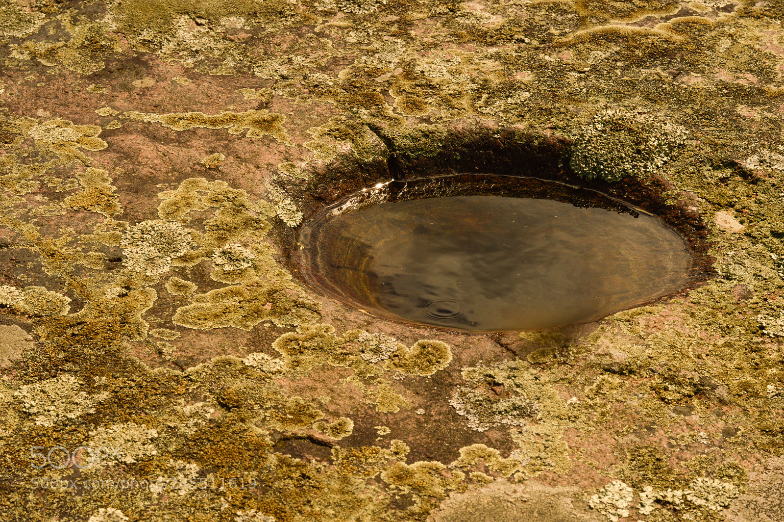 Nikon D3200 sample photo. A small pool on photography