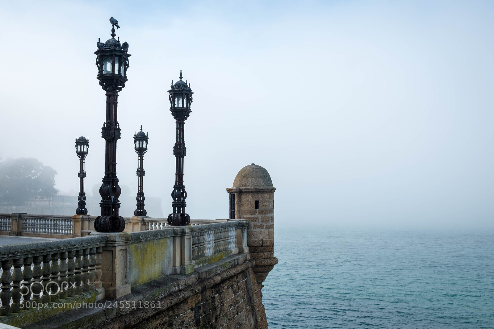 Fujifilm X-T2 sample photo. C diz. andalucia. espa photography