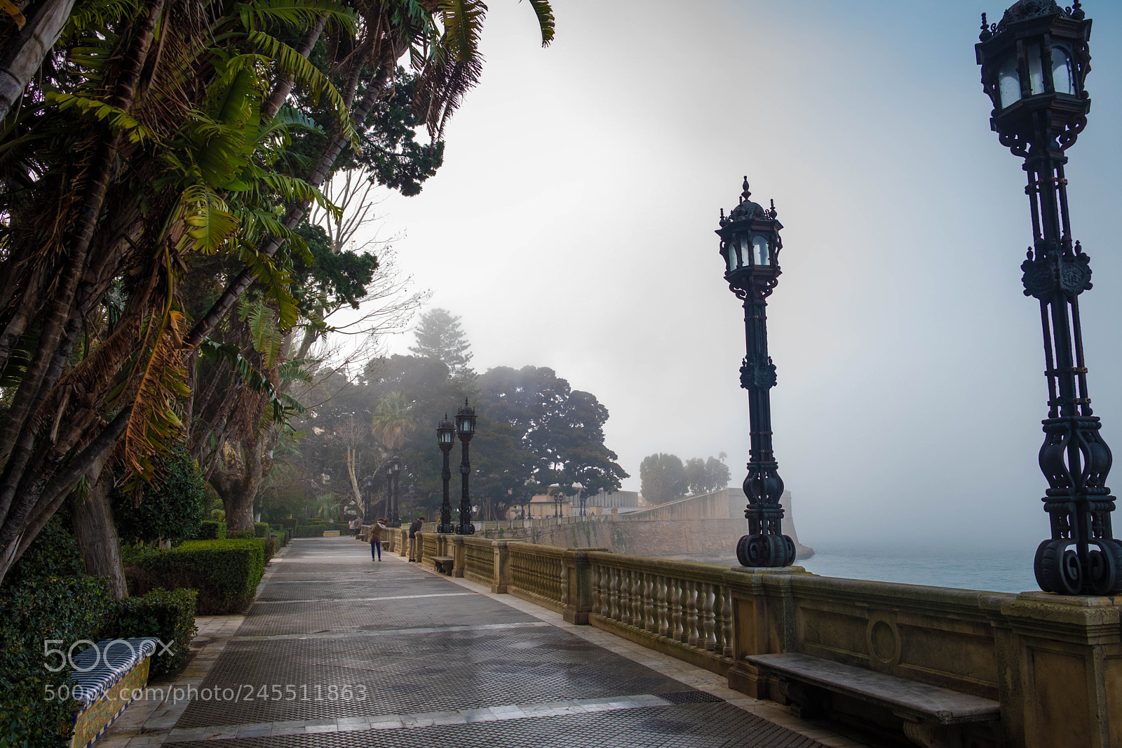 Fujifilm X-T2 sample photo. C diz. andalucia. espa photography