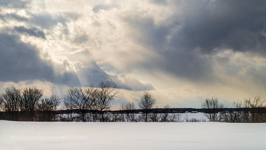 Sony a6500 sample photo. En route vers st-c photography