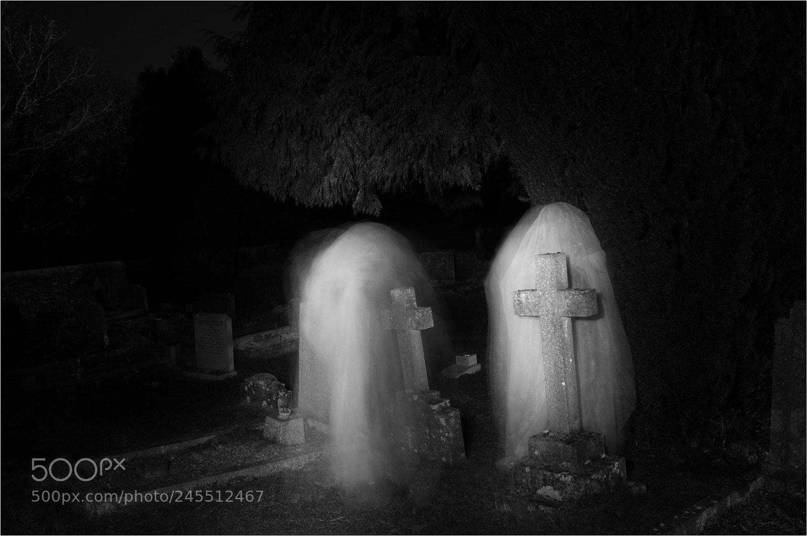 Nikon D90 sample photo. Dont be afraid we photography