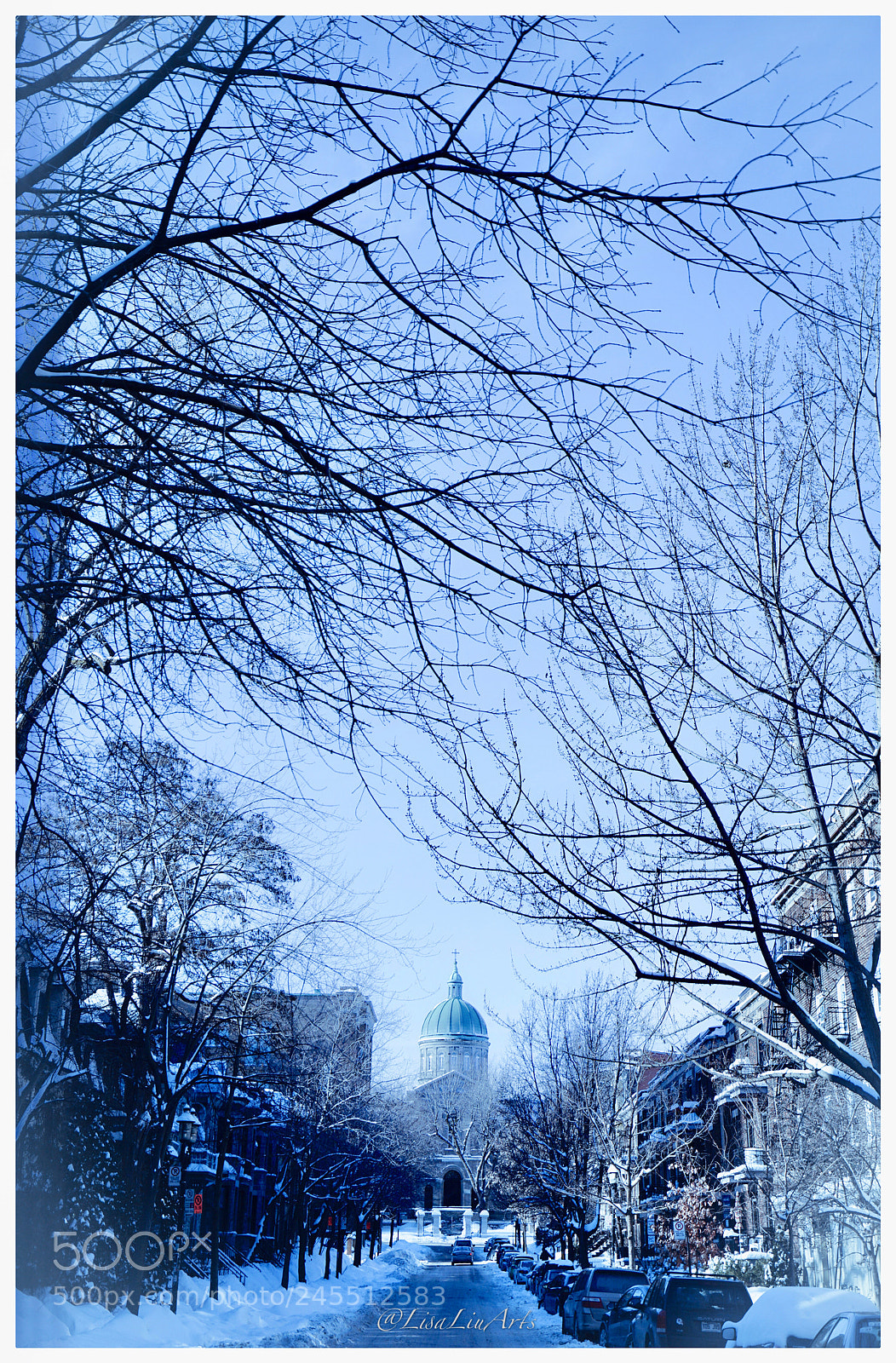 Sony a7R II sample photo. Winter montreal photography