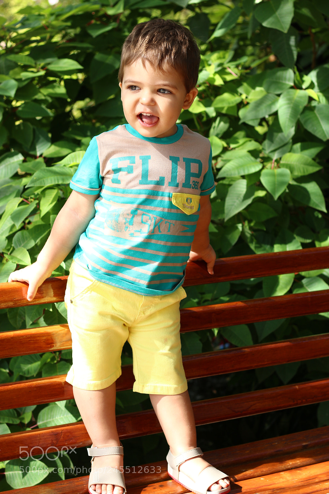 Canon EOS 70D + Canon EF 50mm F1.8 STM sample photo. Untitled photography