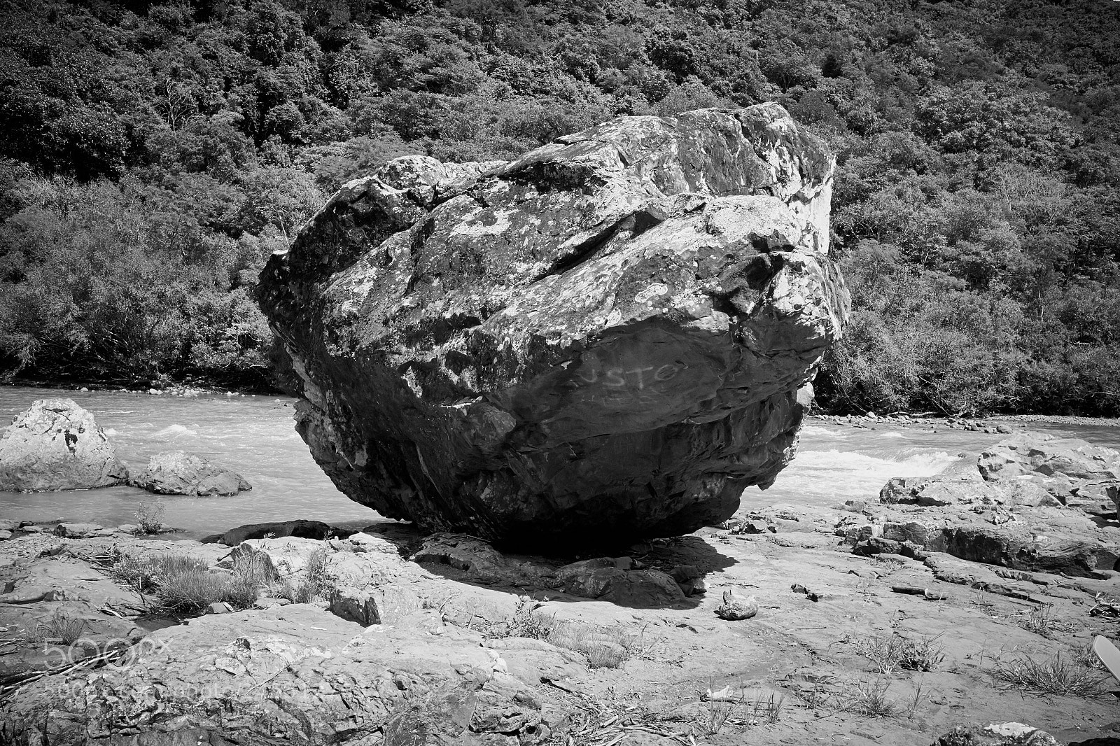 Fujifilm X-T10 sample photo. Smell what the rock photography