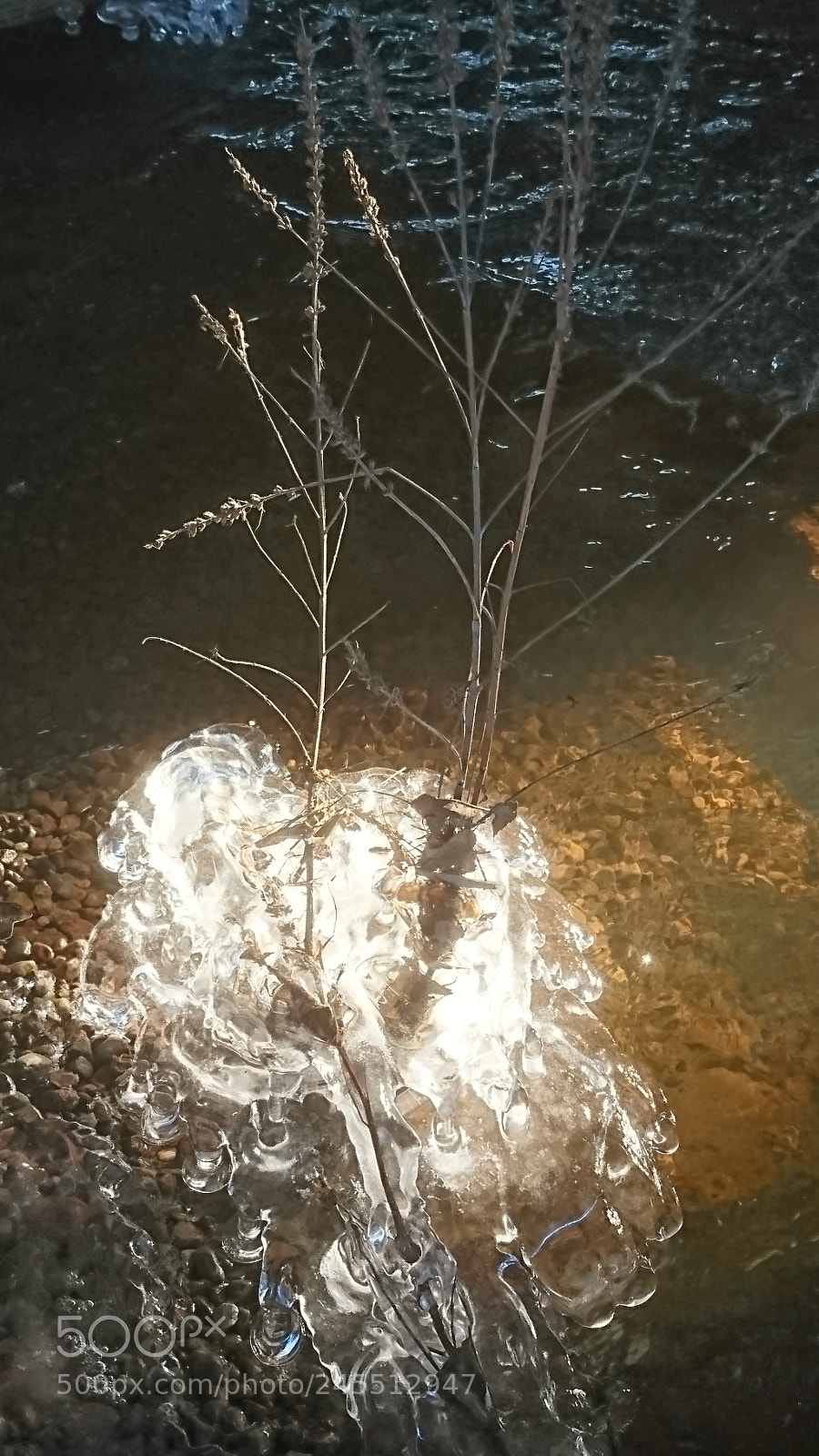 Sony Xperia XZ sample photo. Ice and sun photography