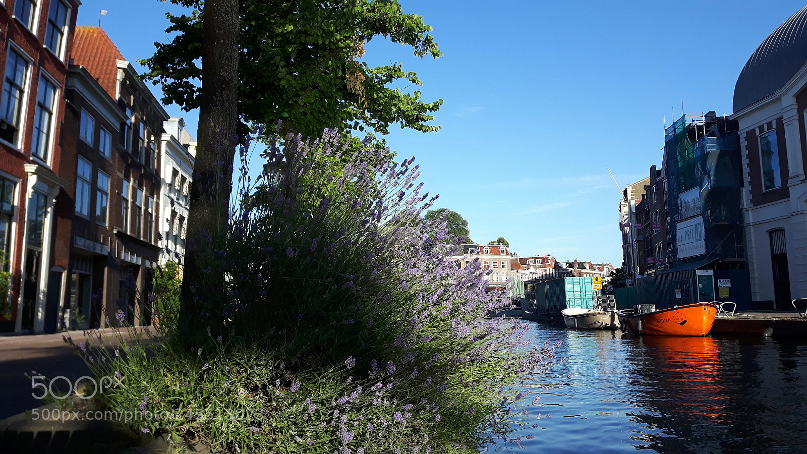 Samsung Galaxy S5 Neo sample photo. Leiden, the netherlands. photography