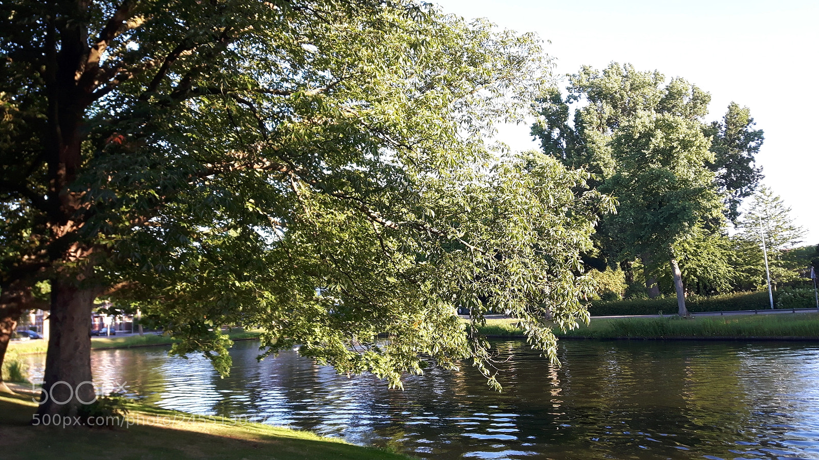 Samsung Galaxy S5 Neo sample photo. Leiden, the netherlands. photography