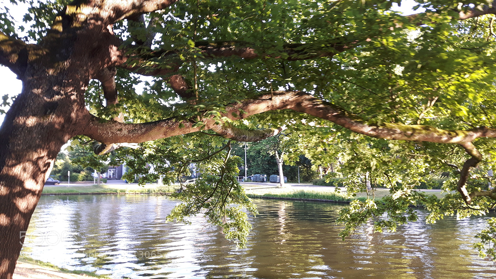 Samsung Galaxy S5 Neo sample photo. Leiden, the netherlands. photography