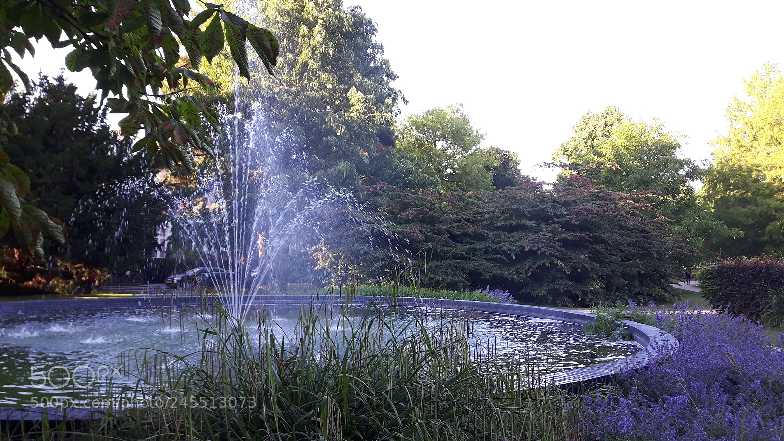 Samsung Galaxy S5 Neo sample photo. Leiden, the netherlands. photography