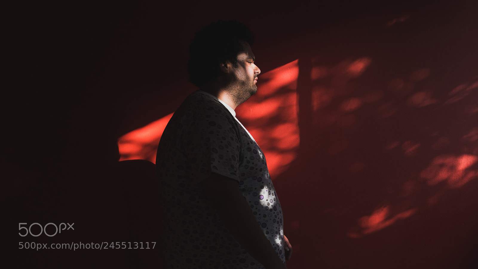 Nikon D810 sample photo. Deep photography