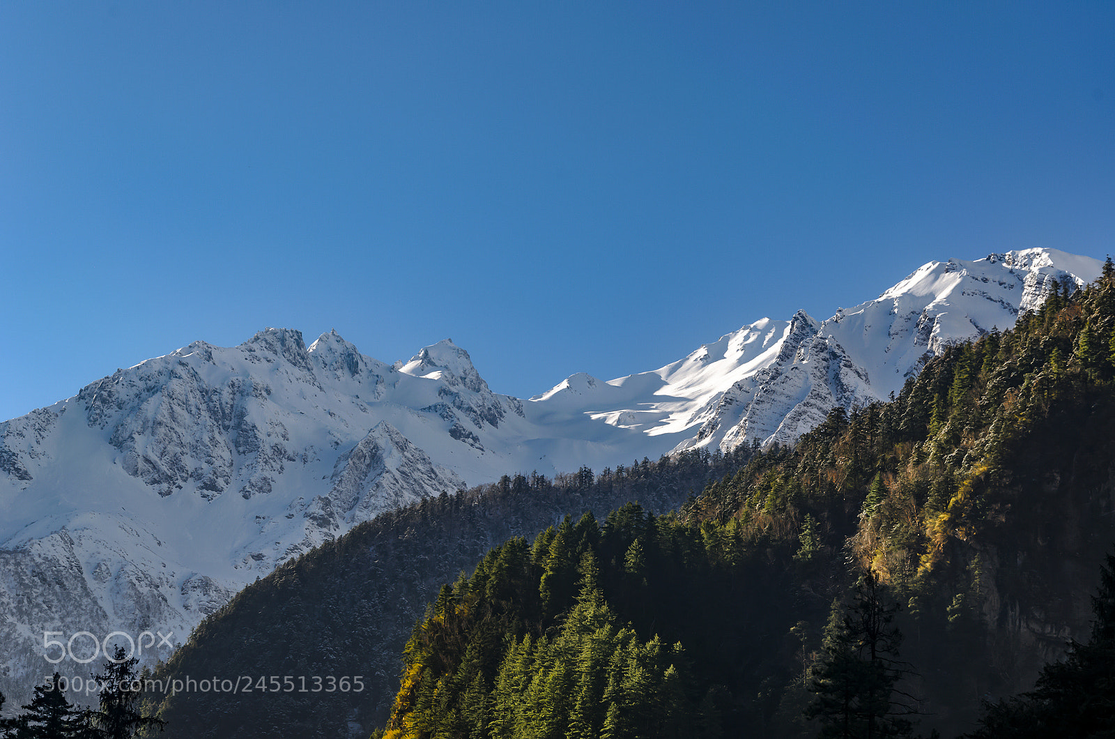 Nikon D5100 sample photo. View from chame, chame photography