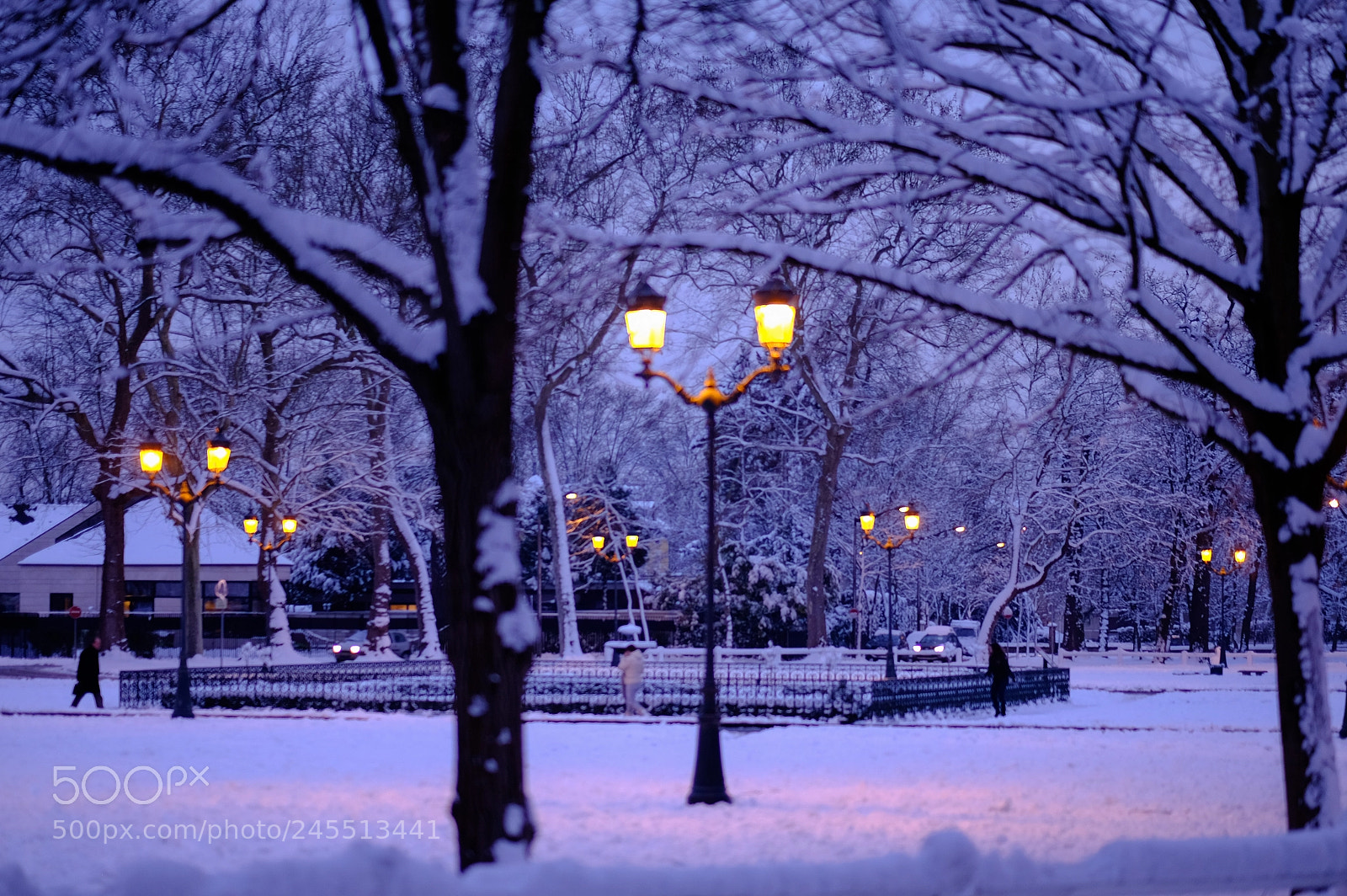 Fujifilm X-E2 sample photo. Winter park maisons-laffitte photography