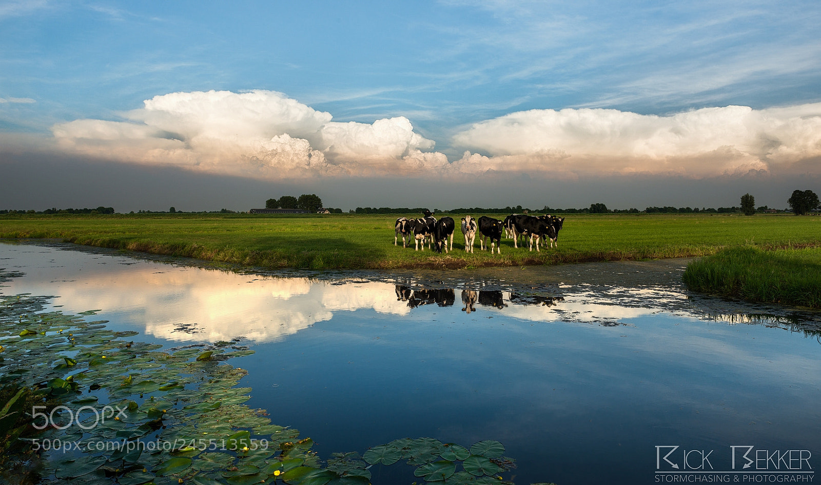 Nikon D800 sample photo. Distant storms photography