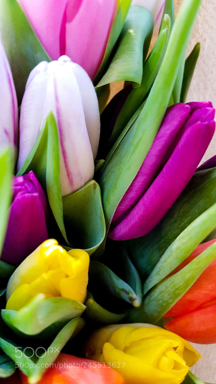 Samsung Galaxy S8 sample photo. A bouquet of tulips photography