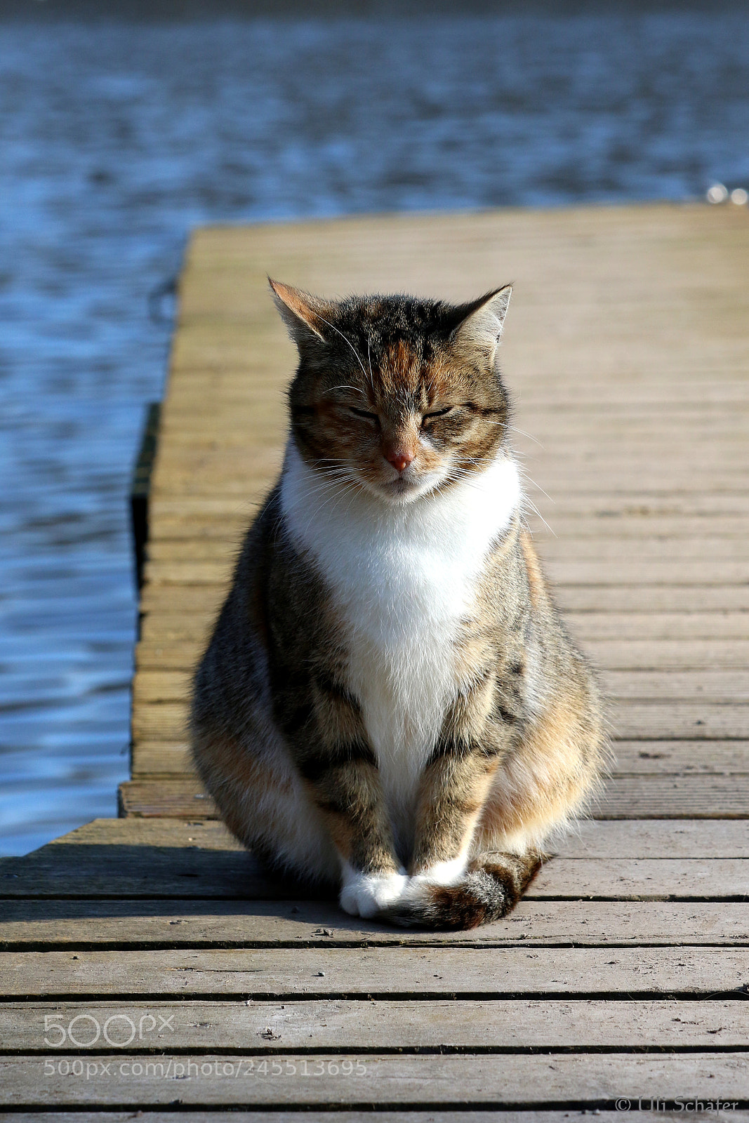 Canon EOS 7D Mark II sample photo. " stature " photography