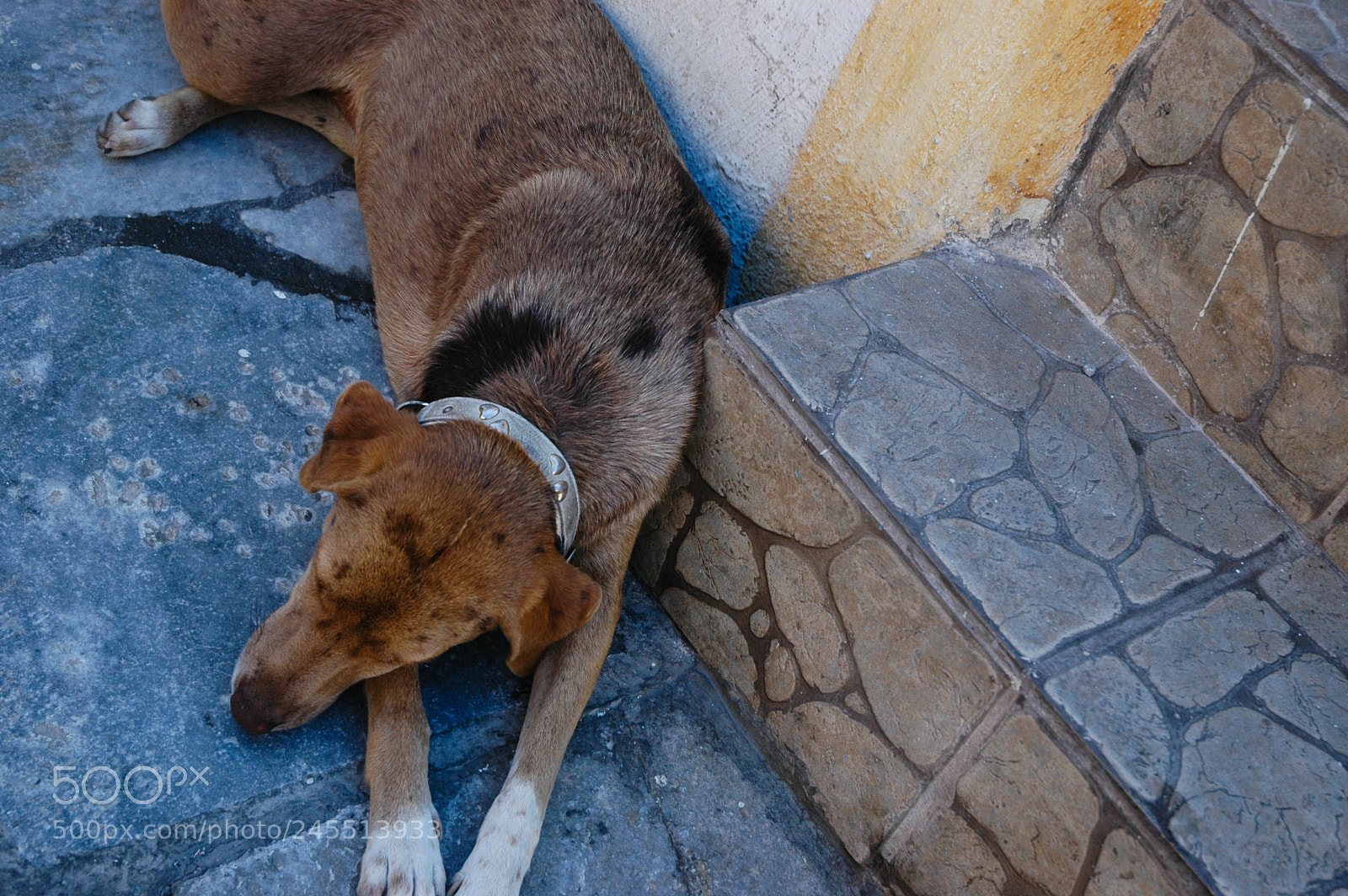 Nikon D70 sample photo. Οία, oia, santorini, Θήρα, thira photography