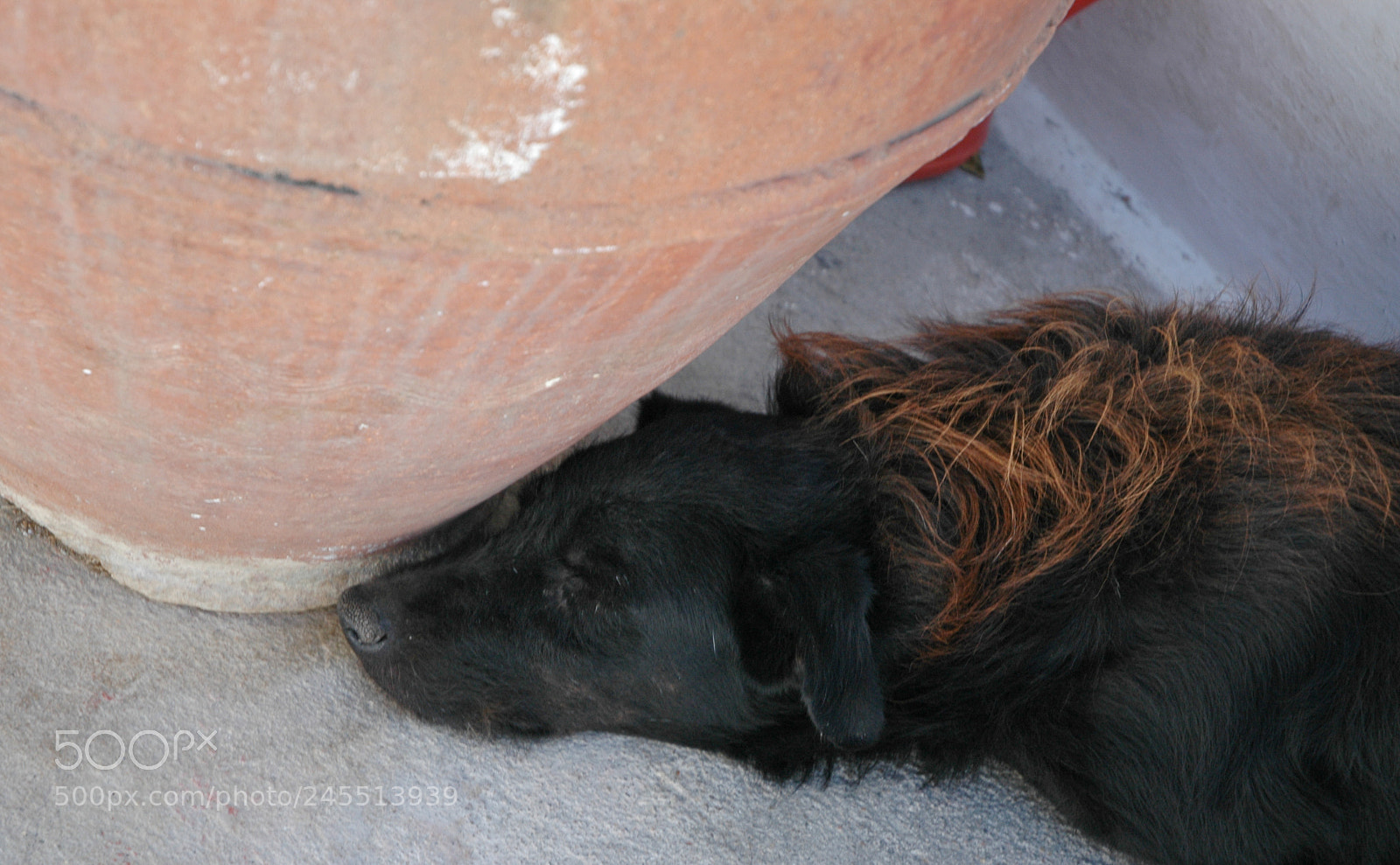 Nikon D70 sample photo. Οία, oia, santorini, Θήρα, thira photography