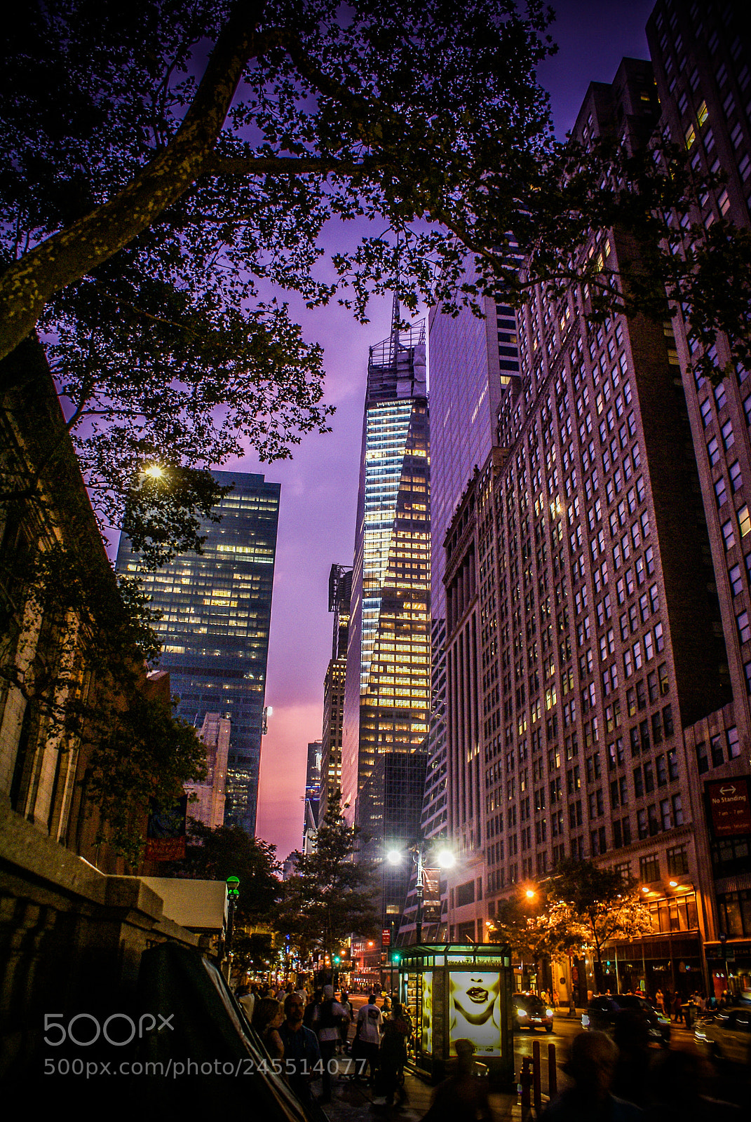 Sony Alpha DSLR-A100 sample photo. Violet sky in ny photography