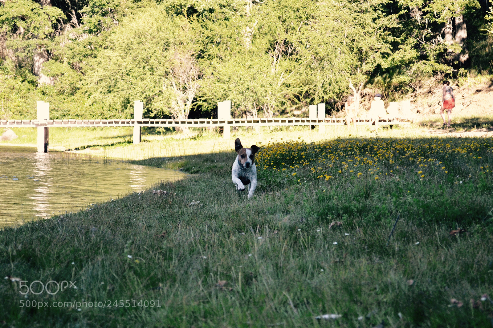Nikon D3100 sample photo. Lilili photography
