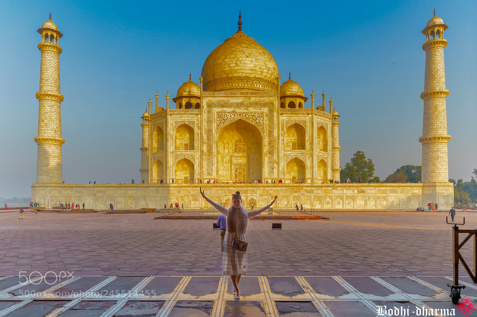 Sony a7R III sample photo. Tajmahal photography
