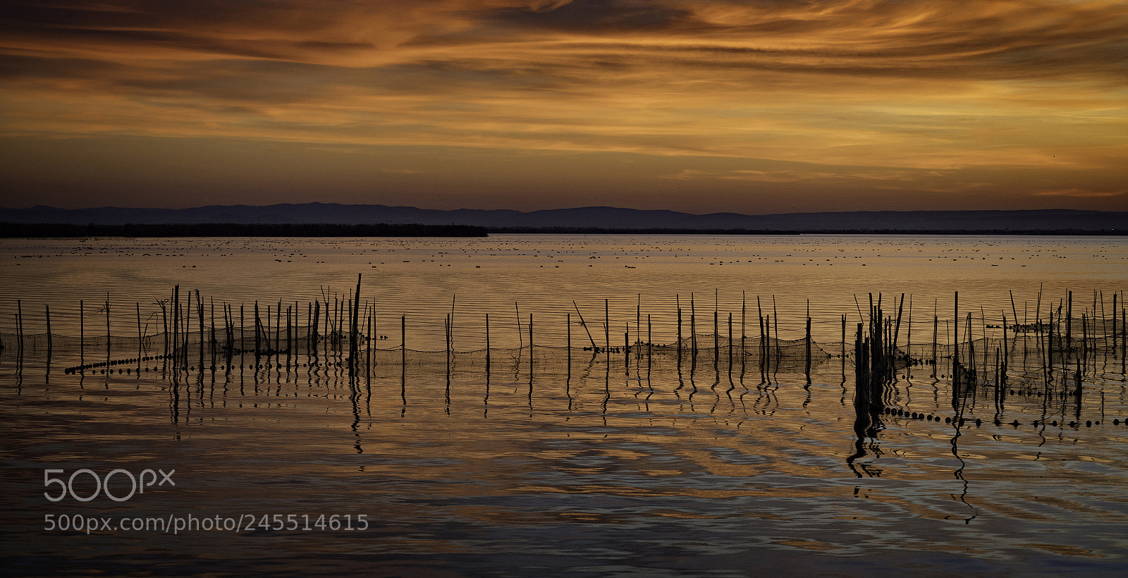 Sony a7R II sample photo. Sunset photography